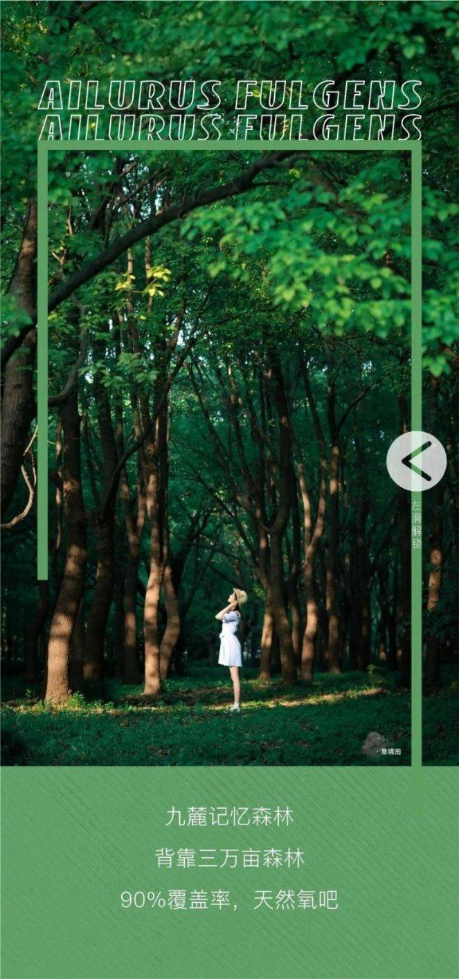 上世纪六十年代的那位女军人出的题目是：3次根号下(x+1)减3次根号下(x-1)=11？游戏画面